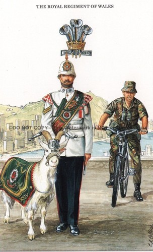 The royal regiment - royal, of
