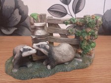 Countryside Friends Badger