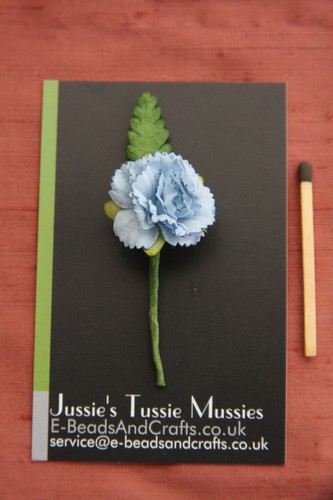 Carnation posy tussie - 1x, posy: