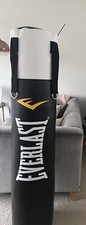 Everlast Boxing Bag