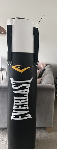 Everlast boxing bag - everlast,