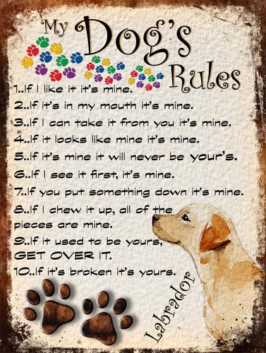 Dog rules retro - my, dog's