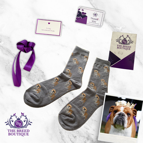Bulldog socks fun bully - socks,