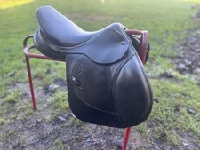 John Whitaker young rider