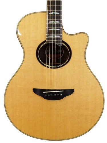 Yamaha apx1200ii - yamaha,