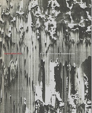 GERHARD RICHTER 1988/89 