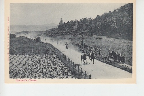 Hawick common riding cornet - common, riding;