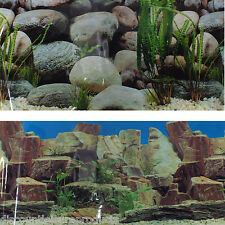 19"/49cm High Aquarium