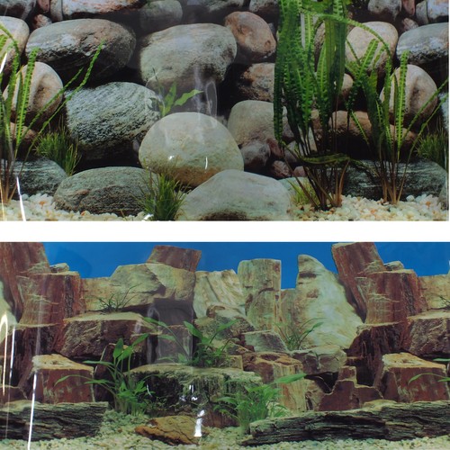49cm high aquarium - 19"/49cm,