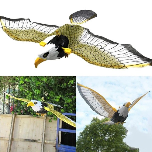 Owl decoy bird - bird, deterrent