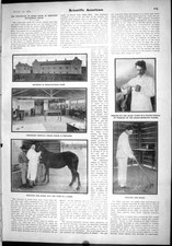 Old Scientific American 1904 Snake Venom Anti-Bubonic Serum Brazil Pi 20th