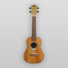 Puka Model PK-PHT Phoenix