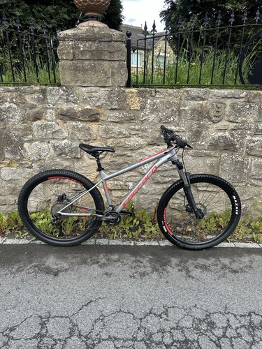 Carrera sulcata 2023 - carrera,