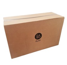 Bang & Olufsen Beoplay V1-40