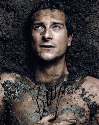 Bear grylls signed - bear,