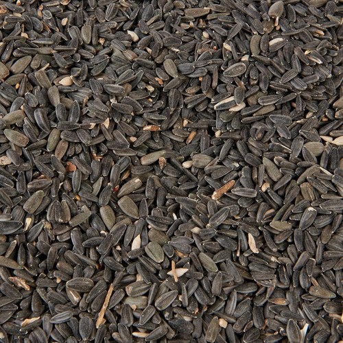 Wild bird food - wild, 2kg