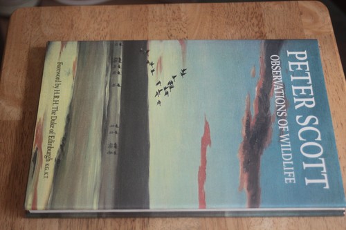 Peter scott observations - peter,