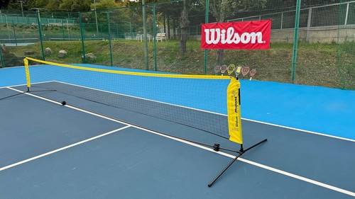 Wilson minions mini - minions,