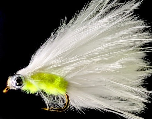Cats whisker traditional - cats,