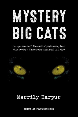 Mystery big cats - big,