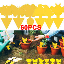 60 PCS Fruit Fly Traps, Double-sided Fungus Gnat Sticky Catcher For Fly Insects