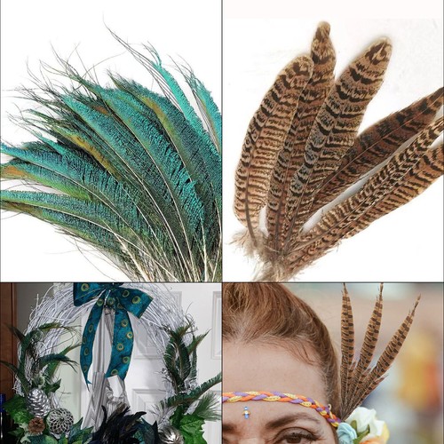 10x pheasant peacock - 10x, pheasant/peacock