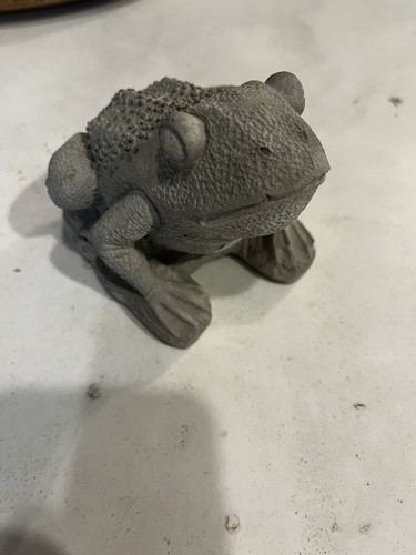Garden frog - garden,
