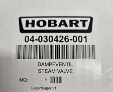 Hobart 04-030426-001 Steam