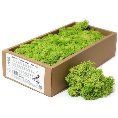Decoration reindeer moss - moss,