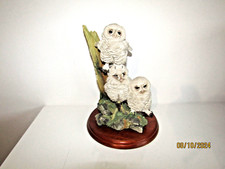 Border Fine Arts A5207 Triple Tawny Owls Birds By Russel Willis