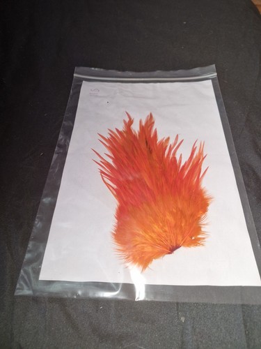 Large saddle cock hackles - saddle,