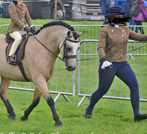 Lead rein showing - lead,