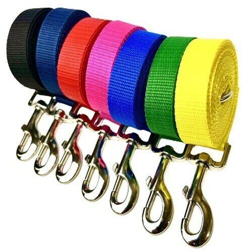 Dog training lead - dog,