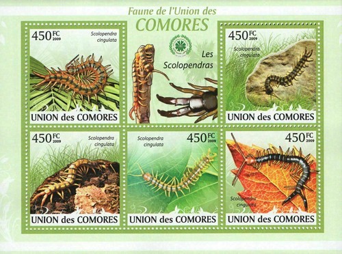 Centipedes stamp fauna - centipedes,