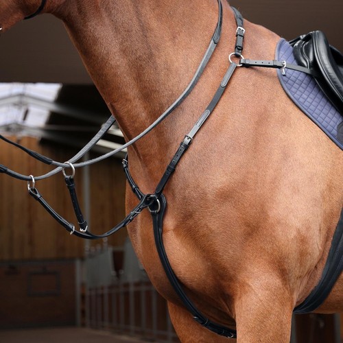 Shires velociti rapida elastic - shires,