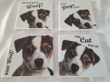 4 x Jack Russell Terrier Puppy