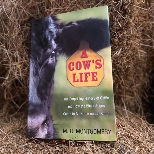Cows life montgomery the - a,