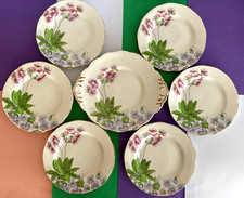 Vintage Salisbury Primulas &