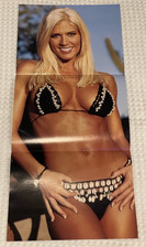 WWE/ WWF Magazine Centrefold