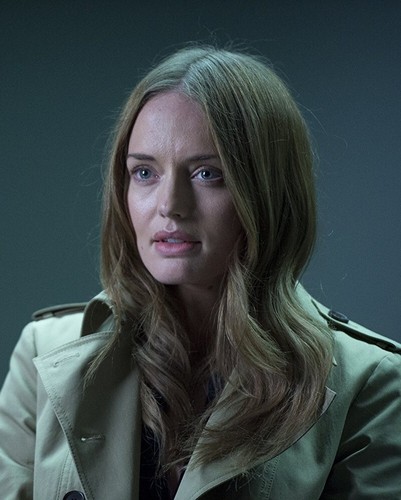 Sexy laura haddock 8x10 - 8x10, photo