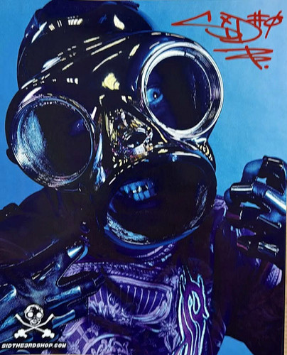 8x10 sid gold mask - gold,