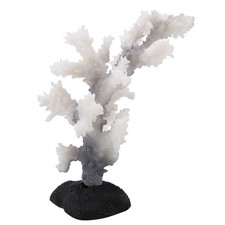 Glow-in-the-Dark Sea Anemone