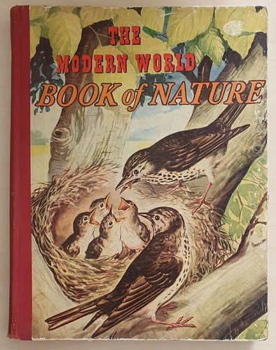 Book comic magazine - comic,