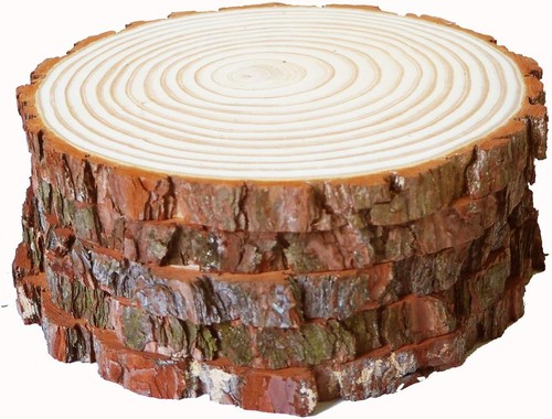 4pcs 25cm large natural wood - large,