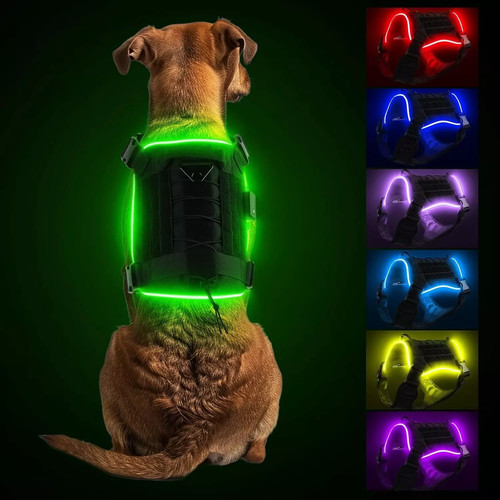 Light dog harness - up,
