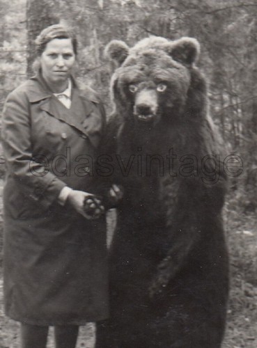 Studio trick woman bear - studio,