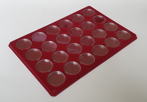 Coin red tray with 24x - red,
