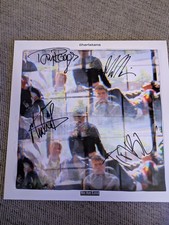 The Charlatans We Are Love