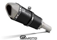 Exhaust for Suzuki DL 1000