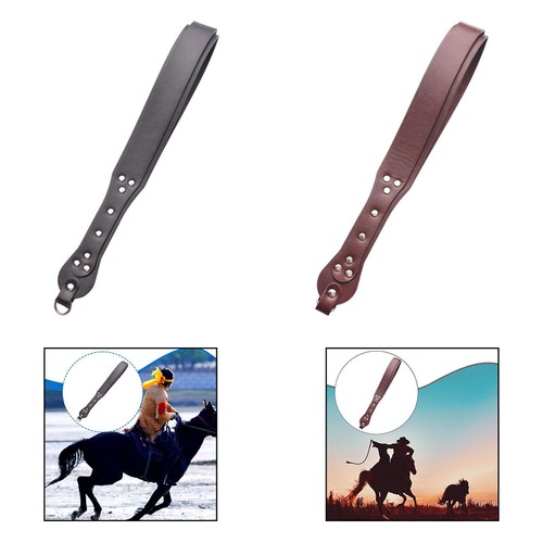Riding crop for horses - riding, lunging